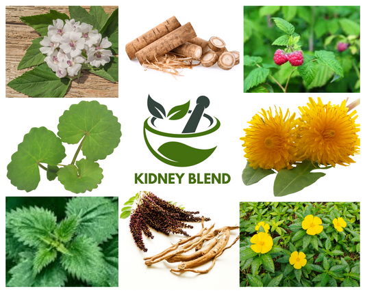 Kidney Blend