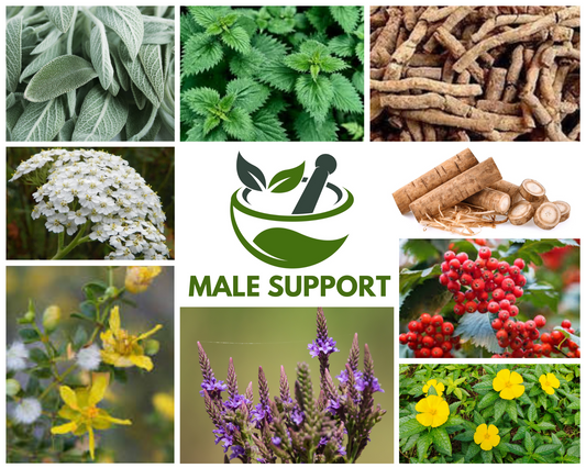 Male Support