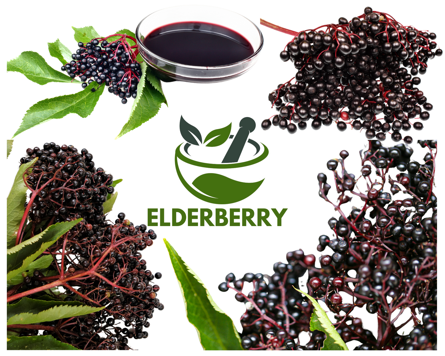 Elderberry Capsules