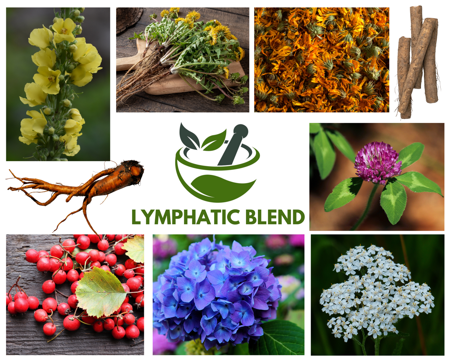 Lymphatic Blend 60 or 90 Tapioca Capsules