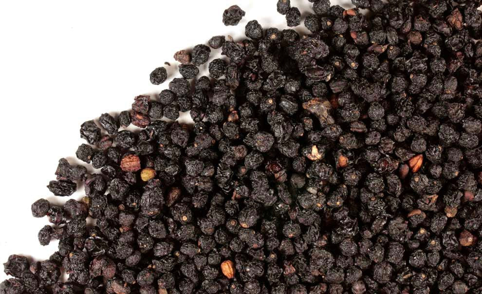 Elderberry Capsules